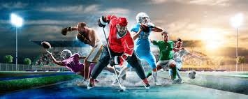 哈里伯顿24+11爱德华兹17分 步行者胜森林狼取5连胜