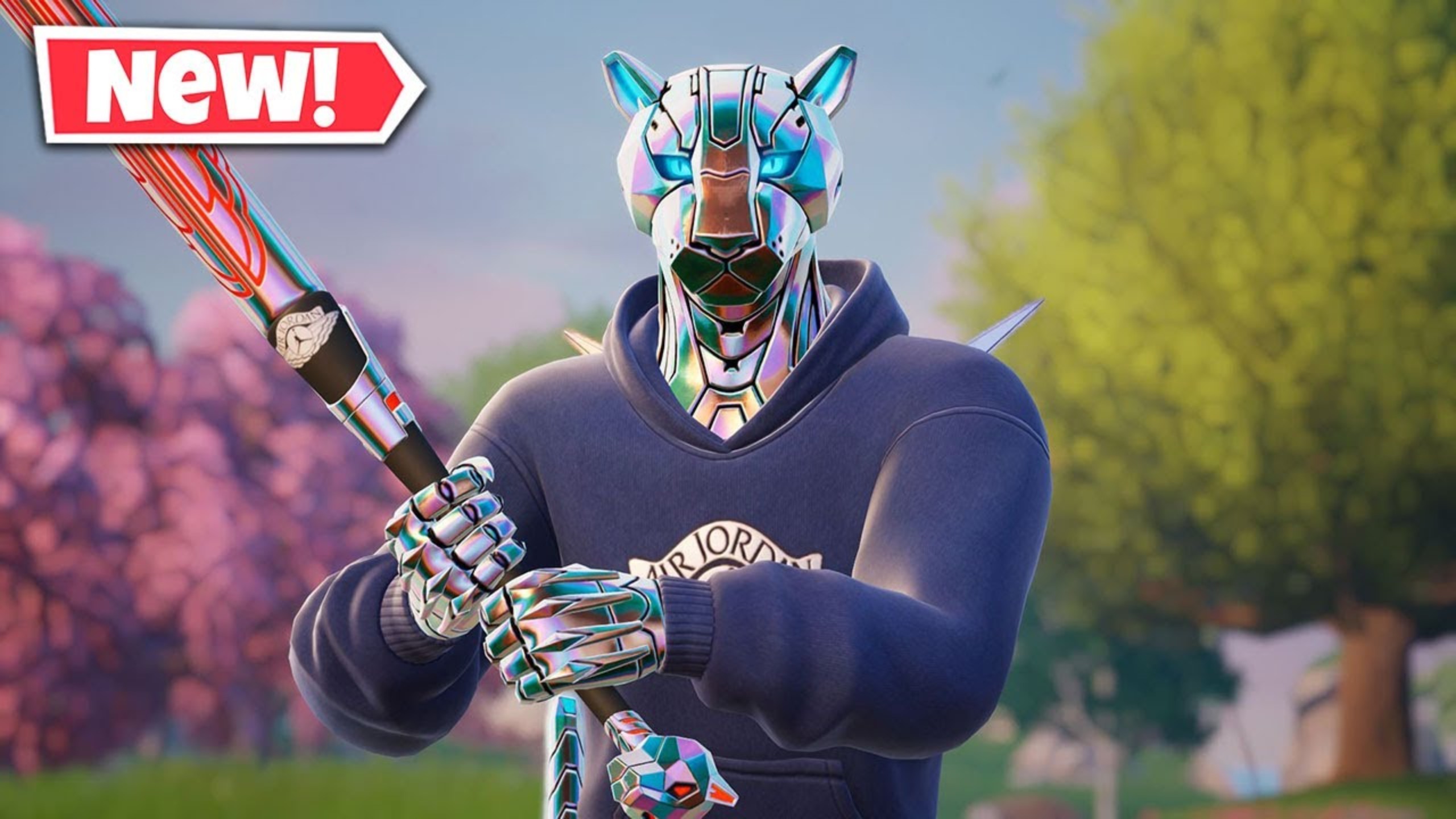 1个丰富的 1个丰富的